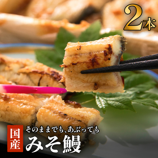 鰻割烹のみそ鰻 2本入 冷蔵 国産 うなぎ 宮城県 石巻市
