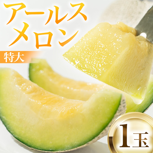 [2026年8月下旬発送開始] 季節 限定 ! 甘さ満点 特大 アールスメロン 1個 箱 果物 フルーツ 農家直送 産直 青肉メロン 特産品 マスクメロン メロン くだもの 茨城 [BC005sa]