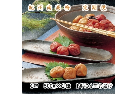 御坊市 紀州南高梅の定期便（春・夏・秋・冬）4回【8021-3】