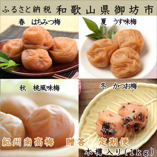 【8022-4】御坊市　紀州南高梅の贈答定期便（春・夏・秋・冬）4回　A