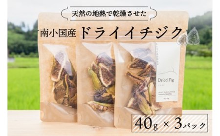 天然の地熱で旨味を凝縮!南小国産ドライイチジク (3袋セット) 40g 3袋 地熱 国産 南小国産 ドライイチジク ドライフルーツ いちじく オーガニック おやつ 持ち運び ギフト 贈答用 fig310 熊本 阿蘇 南小国町 送料無料