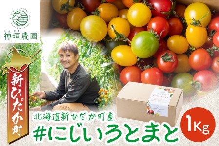 [ 8月上旬より発送 ] 北海道産 カラフルトマト カラフルミニトマト ミニトマト 1kg #にじいろとまと [ 予約受付 ]
