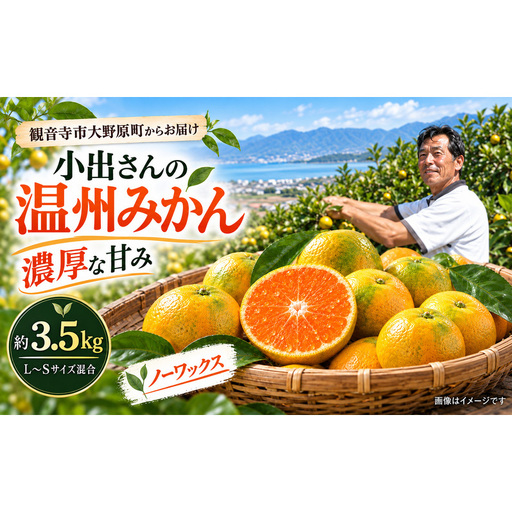 温州みかん みかん 香川県産 国産 約3.5kg L〜Sサイズ混合 小出さん 有機質肥料 農薬を控えて栽培 ノーワックス 濃厚 旨味 柑橘 ミカン 蜜柑 うんしゅうみかん フルーツ 果物 くだもの 果物類 デザート おやつ 大野原町 五色青果 香川県 観音寺市