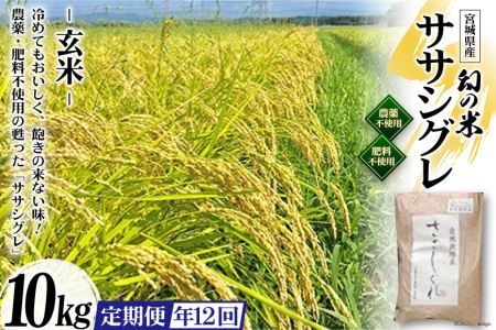 12回 定期便 希少品種米 ササシグレ 玄米 10kg×12回 総計120kg / 長沼 太一 / 宮城県 加美町 44580554