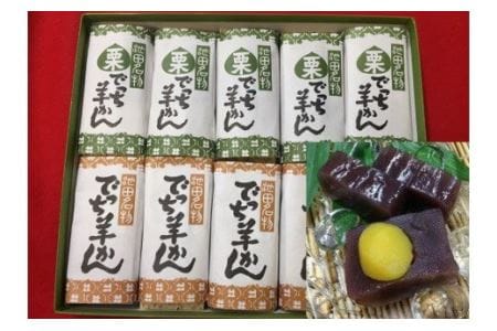 [27-01]創業天保12年「福助堂」 池田銘菓 でっち羊かん 2種10本入り