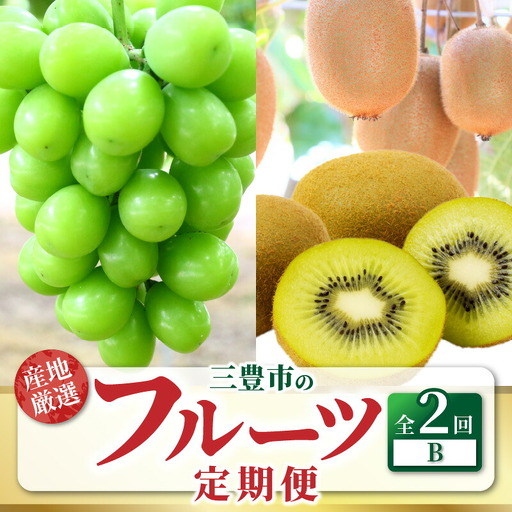 三豊市フルーツ2回お届け定期便B