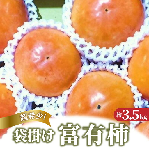 超希少!袋掛け富有がき 約3.5kg