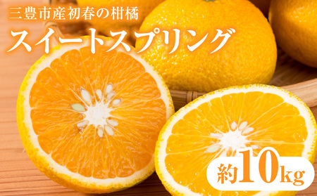 三豊市産初春の柑橘「スイートスプリング」約10kg