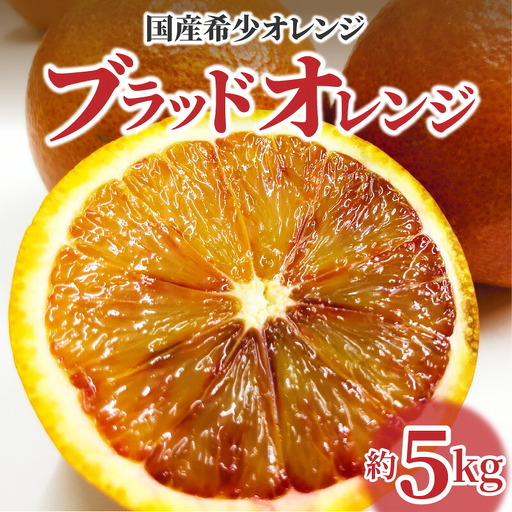 国産希少オレンジ 「ブラッドオレンジ」 約5kg