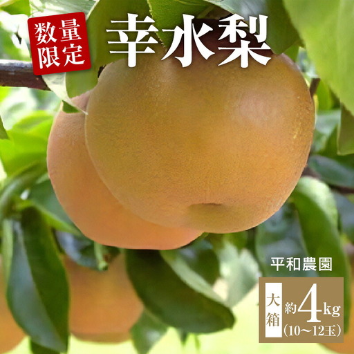 数量限定!平和農園 幸水梨 大箱＜約4kg＞