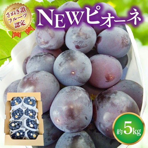 【7月上旬から】【さぬき讃フルーツ】NEWピオーネ 約5kg