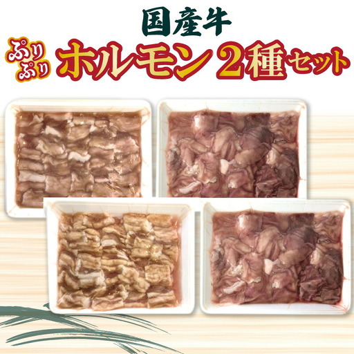 国産牛ぷりぷりホルモン二種セット