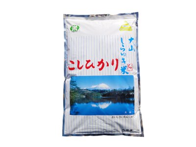 令和7年産 大山しらゆき米 10kg (精白、コシヒカリ) コシヒカリ こしひかり 米 精白米