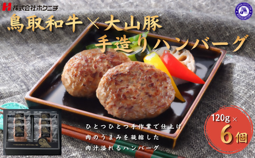 ＜大山物語＞　氷温®熟成 鳥取和牛×大山豚手造りハンバーグ 120g×6