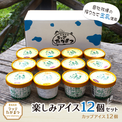（冷凍） ラッテたかまつ 楽しみアイス１２個セット ／ バニラ 大和茶 ミルク 苺 ブルーベリー 黒ごま【latt005】