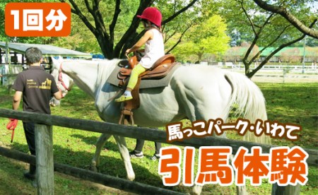 引馬体験 1回分 チケット 【馬っこパーク・いわて】ふれあい 引馬 乗馬体験 ホースセラピー