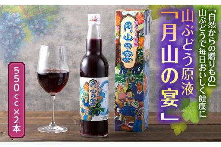 FYN9-424 山ぶどう原液「月山の宴」 2本 ブドウ 飲料 山形県 西川町