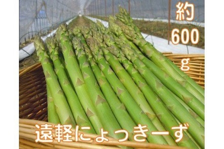 2027年 春アスパラ600g ( ふるさと納税 アスパラガス グリーンアスパラ 野菜 健康食材 天ぷら 炒め物 パスタ サラダ 大容量 北海道 遠軽町 えんゆう農業協同組合 ) en01-00001