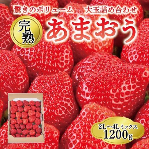 【2027年1月～4月出荷分予約販売】★開けてびっくり★驚きのボリューム完熟あまおう大玉詰め合わせ1200g