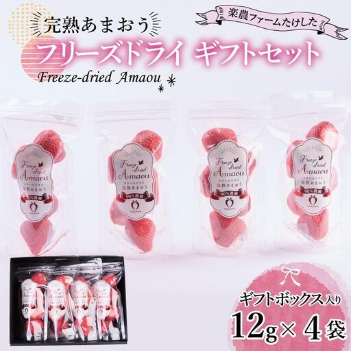 形も味もそのまま楽しめる!完熟あまおう[フリーズドライギフトセット] (12g×4袋)