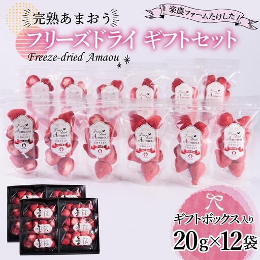 形も味もそのまま楽しめる！完熟あまおう【フリーズドライギフトセット】 (20g×12袋)