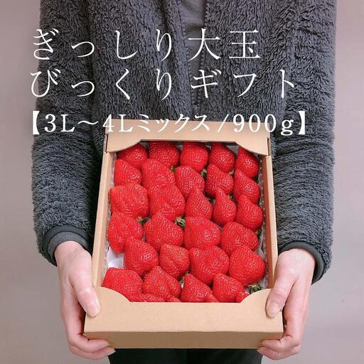 【2027年1月～4月出荷分予約販売】★身近な人間関係のお祝いに★「完熟あまおう」3L～4Lミックス詰め合わせ 900g入り