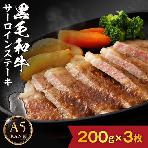 【A5ランク】黒毛和牛 (博多和牛) サーロインステーキ200g×3枚【伊豆丸商店】_HA0179