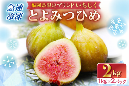 急速冷凍!福岡県特産品プレミアムいちじく「とよみつひめ」冷凍いちじく 大容量2kg[JAほたるの里]