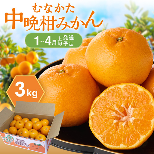 [2027年1月〜4月上旬発送]JAむなかたかんきつ部会が厳選したみかん(中晩柑)計3kg[JAほたるの里]