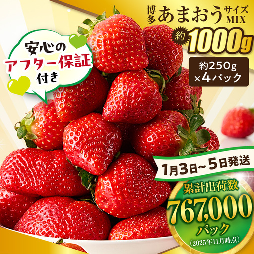 【先行予約】【数量限定】＜アフター保証＞1月3日～5日発送「博多あまおう」約250g×4パック【ほたるの里】_HA0662