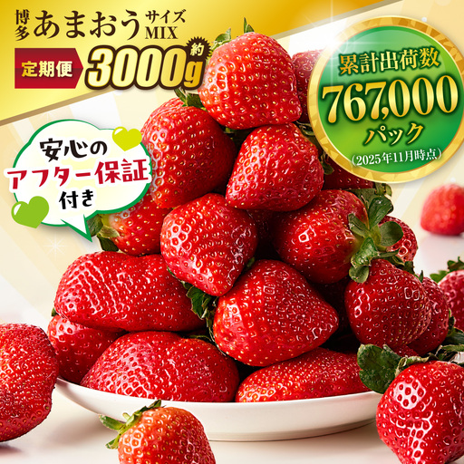 【定期便／3ヶ月連続お届け】大人気のあまおう 250g×4パック 計3回 総量3.0kg 3ヶ月定期便 福岡県産いちご【JAほたるの里】_HB0032