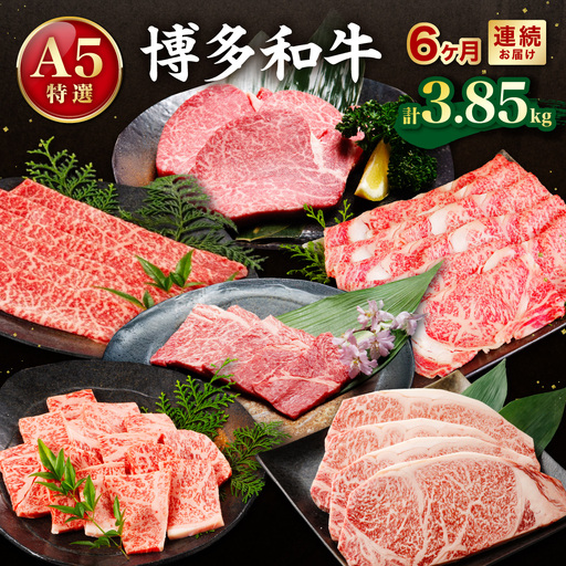 [定期便/年6回/毎月お届け]A5特選博多和牛 こだわりの6回お楽しみコース(サーロインステーキ・ヒレステーキ/しゃぶしゃぶ・すき焼き/焼肉)[伊豆丸商店]