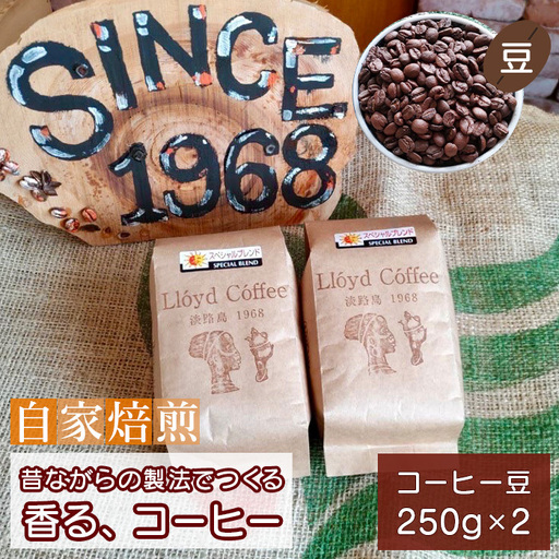 ロイドコーヒースペシャルブレンド(豆)500g(250g×2個)自家焙煎コーヒー