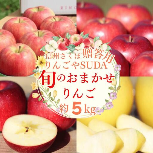 農園にお任せ旬のリンゴ 5kg入り贈答箱[100箱 限定品][RS-104]