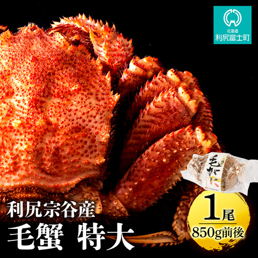 利尻・宗谷産 毛ガニ 特大サイズ（850g前後）１尾＜利尻漁業協同組合＞