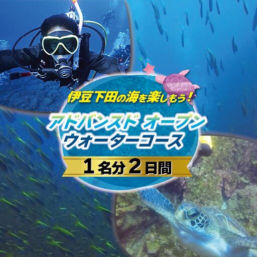 資格取得 PADI アドバンスド オープン ウォーターコース 2日間 1名 伊豆 下田 ドラゴンレディ