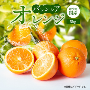 [2027年先行予約]希少 国産 秀品 バレンシアオレンジ 5kg 果汁 豊富 糖度 高い 甘い 爽快感 香り 酸味 味わい スッキリ 栄養補給 柑橘 オレンジ 果物 フルーツ 果実 食品 食べ物 おやつ デザート お取り寄せ お取り寄せフルーツ 和歌山県 湯浅町 送料無料