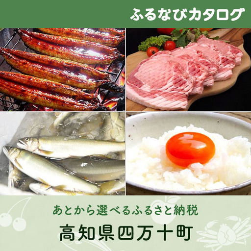 【有効期限なし！後からゆっくり特産品を選べる】高知県四万十町カタログポイント