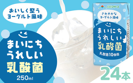 常温保存可能 まいにちうれしい 乳酸菌 ヨーグルト風味 250ml×24本 合同会社たべたせいか[30日以内に出荷予定(土日祝除く)]熊本県 菊池市 紙パック ヨーグルト飲料 乳酸菌 ドリンク 飲み物 飲料 常温保存 国産 熊本県産