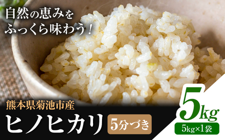 熊本県菊池産 ヒノヒカリ 5kg 5分づき米 お米 分づき米 [30日以内に出荷予定(土日祝除く)]