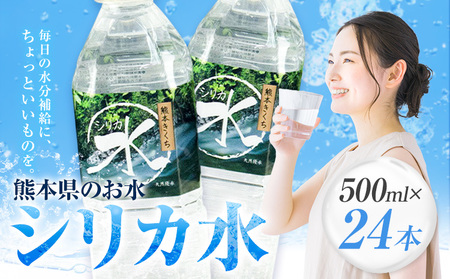 水 シリカ水 500ml × 24本 有限会社七城町特産品センター メロンドーム [30日以内に出荷予定(土日祝除く)] 熊本県 菊池市 水 軟水 飲料 ドリンク 清涼飲料水 天然地下水 ペットボトル ミネラルウォーター 定期便 送料無料