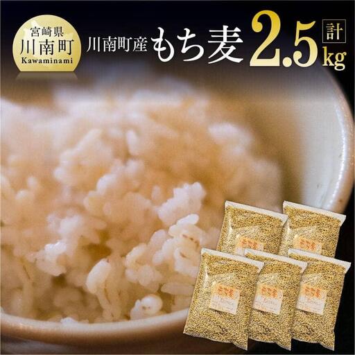 令和7年産 もち麦 2.5kg（500g×5袋） 【 ふるさと納税 国産 麦 もち麦 食物繊維 数量限定 宮崎県産 川南町産 送料無料 】