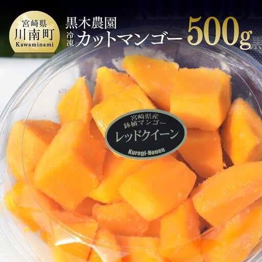 宮崎県産マンゴー黒木農園の冷凍カットマンゴー(種なし)500g 果物 フ フルーツ マンゴー