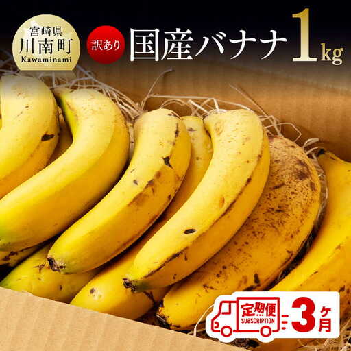 [定期便][訳あり]国産バナナ1kg 3ヶ月定期便[国産 バナナ 無農薬 フルーツ 果物 デザート 朝食 スムージー 訳ありバナナ 全3回]