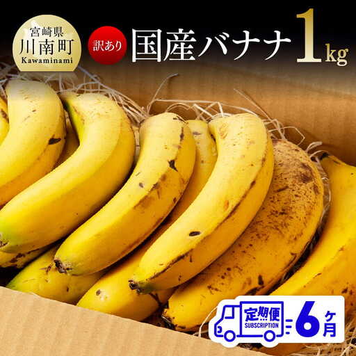 【定期便】【訳あり】国産バナナ1kg　6ヶ月定期便【国産 バナナ 無農薬 フルーツ 果物 デザート 朝食 スムージー 訳ありバナナ 全6回】