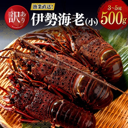 【訳あり！】【漁協直送！】冷凍伊勢海老（小）500g　(3～5尾) 【 期間限定 数量限定 魚介類 えび 伊勢えび イセエビ 日向灘 訳あり 伊勢海老 】