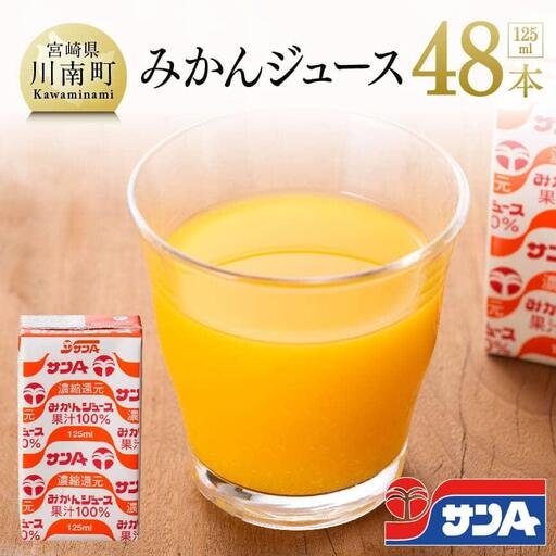 サンA みかんジュース 100% 125ml 紙パック 24本入り×2ケース 飲料 みかん ミカン 紙パック