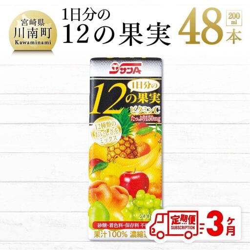 [3ケ月定期便]サンA 1日分の12の果実 200ml×48本セット 果汁100% ミックスジュース フルーツ
