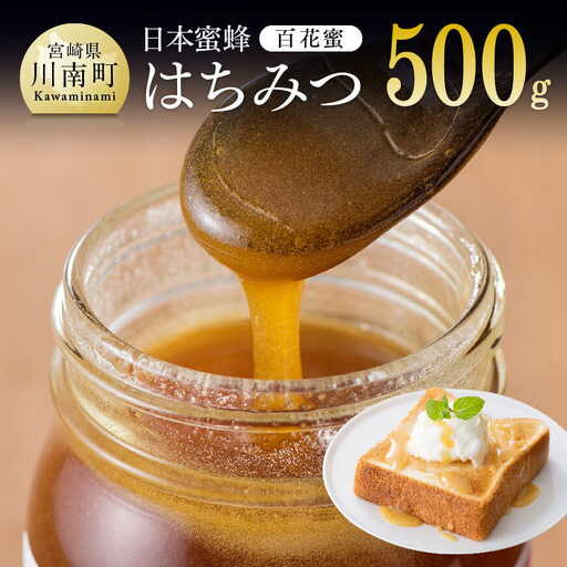 【数量限定】国産はちみつ（百花蜜）500g【蜂蜜 国産 はちみつ 九州産 宮崎県産 川南町産 ハチミツ】