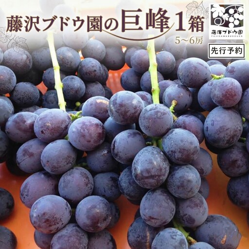 [ 藤澤ブドウ園 ] 自慢 の 巨峰 約2kg 2026年産 先行予約
